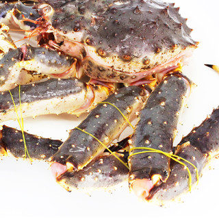 【活鲜】御鲜之王 鲜活帝王蟹 生鲜螃蟹 海鲜水产长脚蟹 7.3-7.6斤/只  1只
