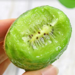 【省80元】好奇异果/猕猴桃_陕西 徐香 猕猴桃 30枚 中果70-90克多少