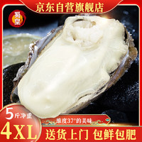 蜀皇乳山生蚝鲜活特大牡蛎海蛎子带壳生蚝肉贝类海鲜5斤4XL(10-12)只 4XL号【包鲜包肥】