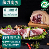 卡拉达 藏区藏香猪蹄膀1kg 肘子猪脚卤猪肘 黑猪肉土猪肉 地标 源头直发