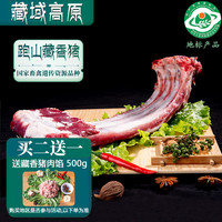 卡拉达 藏区藏香猪排骨400g  猪肋排猪肋骨肋条 黑猪肉土猪肉 地标