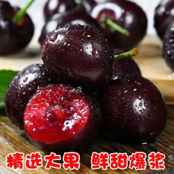 冰茜智利进口车厘子jjjj级25斤礼盒装3234mm顺丰空运