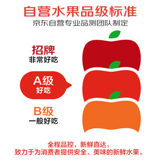 京鲜生广西软糯红心芭乐3斤装单果125g起 水果番石榴水果 源头直发