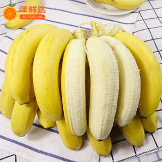 泽鲜达云南高山香蕉新鲜当季水果整箱大芭蕉叶小米蕉甜香焦自然熟 精选装4斤