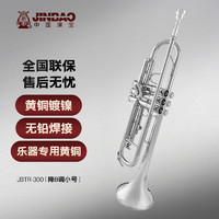 津宝 JBTR-300小号乐器降B调儿童初学学生演奏考级漆金西洋吹管乐器