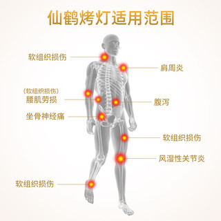 仙鹤 医用级医疗器械家用TDP远红外线理疗灯辅助治疗仪烤灯型理疗仪神灯CQ-8