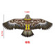 方赫 1.6米老鹰风筝  带100米线板