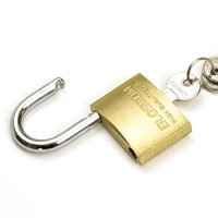 BLOSSOM LOCK 梅花锁 防盗铜挂锁 25cm（2个钥匙）