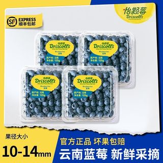 怡颗莓 云南蓝莓 蓝莓小果125g*6盒