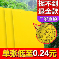 掌尚丰味 粘虫板黄板双面强力诱虫板