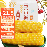 Corn God 玉米神 黄糯玉米棒 非转基因软糯鲜香新鲜甜粘东北代餐粗粮5根≥1000g/包