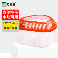龟真寿 中号芒果盒（28*20*17cm）乌龟缸带晒台 塑料手提龟缸 带盖龟缸