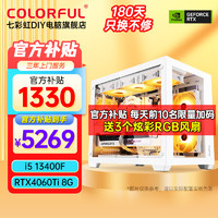 COLORFUL 七彩虹 电竞游戏台式电脑主机diy组装整机 配置五丨13400F丨RTX4060Ti 8G