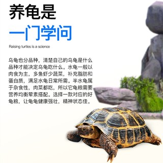 海豚龟粮乌龟饲料中小龟通用龟粮巴西龟中华草龟火焰龟龟粮上浮乌龟吃 400g高蛋白【5袋】