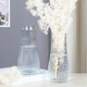 豪臣 创意玻璃花瓶ins风 冰川纹+条纹花瓶  两个装
