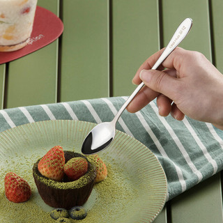 茶花甄享不锈钢餐勺冰勺手柄加长餐抛光表面食品级材质 不锈钢大尖餐勺