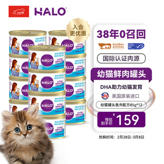 HALO 自然光环 幼猫罐头鱼肉味 85g*12