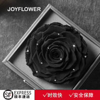 JoyFlower 永生花黑色玫瑰干花礼盒送女友生日玻璃罩男生朋友男士情人节礼物