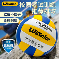 Willnice 中考排球5号学生专用小学初中体育考试训练标准软式硬排手感柔软