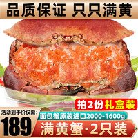 鲜味时刻 超大面包蟹鲜活熟冻大螃蟹特大海鲜水产 熟冻1600-2000g/2只（性价比）