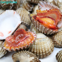 江食代【活鲜】江食代 血蛤 鲜活 非毛蛤 无沙蛤蜊大贝壳海鲜水产750g