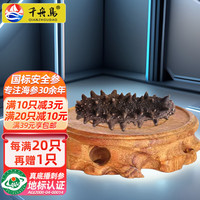 千舟岛珍品淡干海刺参6-7年干货 3.5-3.8cm 1只 每满20只赠1只