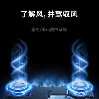 LEGION 联想拯救者 Y9000P 16英寸 游戏本 黑色（酷睿i9-14900HX、RTX 4090 16G、32GB、1TB SSD、2.5K、LCD、240Hz）