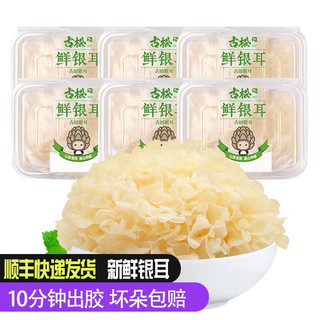 Gusong 古松食品 鲜银耳 125g*6盒