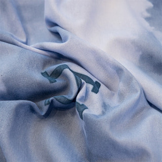 洁丽雅（grace）全棉被套单件纯棉磨毛新疆棉被罩冬季双人被套居家被罩单件 云深 180*220cm单被套
