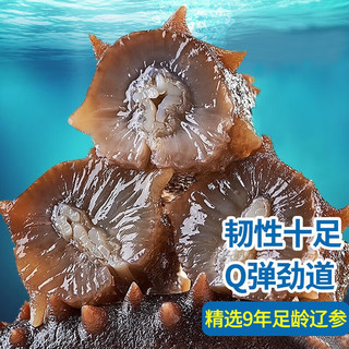 鲜拔头筹 即食海参 即食大连刺参单个装500g 深海辽刺参年货海参礼盒干货 超高品质9年7A海参【8-12头】