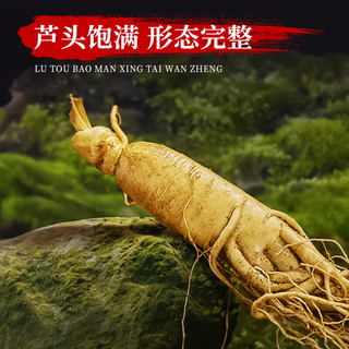 CBM GINSENG 长白山人参 酒浸保鲜参礼盒装（非药材）共30g 买一赠一