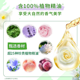 Comfort 金纺 留香珠薰衣草+香紫苏140g 情绪香氛精油 100天留香