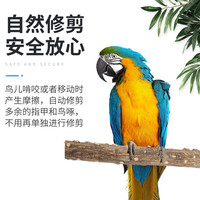 宠尚天 Jonsanty纯天然花椒木鹩哥八哥画眉虎皮鹦鹉磨爪棒鸟站杆站棍栖站架