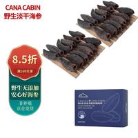 CANA CABIN加拿大特级淡干野生海参干货红极参10年参龄圆筒454克一磅盒装