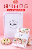 钱小二 淡雪草莓 1斤2盒/单盒20粒礼盒装+京东空运