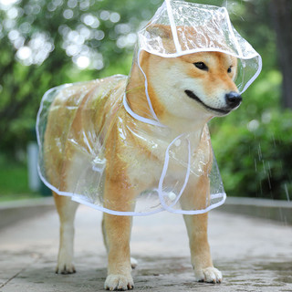 Lanswood 狗狗雨衣中大型犬宠物雨衣泰迪柴犬小型犬柯基金毛雨披防水透明 白边透明雨衣 M(6-10斤背长26cm)