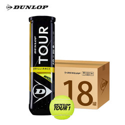 DUNLOP 邓禄普 网球高亮度羊毛网球比赛用球耐打练习初学训练球 4只装 18筒