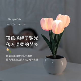 京东鲜花 郁金香小夜灯装饰花台灯卧室床头摆件创意生日礼物送女生闺