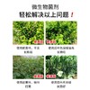 JUNDEARDENING 君德 枯草芽孢菌杆菌农用微生物菌肥枯草杆菌菌剂菌肥菌种防病肥料