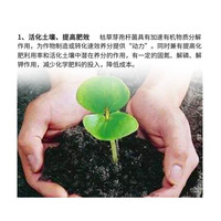 JUNDEARDENING 枯草芽孢菌杆菌农用微生物菌肥枯草杆菌菌剂菌肥菌种防病肥料