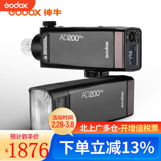 Godox 神牛 AD200pro大功率外拍灯单反闪光灯摄影灯锂电池高速TTL 口袋灯 AD200pro标配（不区分版本，通用） 富士版