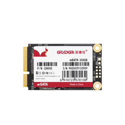 GUDGA 固德佳 GM系列 mSATA 固态硬盘 1TB