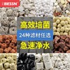 Bessn 鱼缸过滤材料十合一细菌屋玻璃陶瓷环火山石活性炭净水滤材 卓越版多合一 1斤