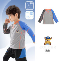 汪汪队立大功汪汪队男童长袖t恤春秋2024儿童训练服上衣春季男孩宝宝衣服 浅灰阿奇 130CM