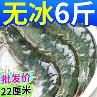 虾有虾途气冻虾无冰青岛特大虾新鲜液氮冷冻一整箱国产海鲜