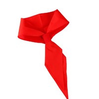小学生红领巾通用 （独立包装）1条