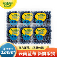 Driscoll's Only the Finest Berries 怡颗莓 Driscoll's 云南蓝莓  125g*6盒装