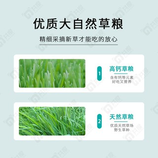 共度（Gong Du）紫花苜蓿草 兔草提摩西草苜蓿草干草 小麦兔草龙猫粮 烘干小麦草1KG/箱