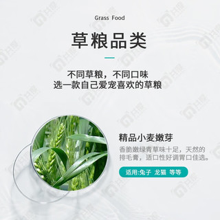 共度（Gong Du）紫花苜蓿草 兔草提摩西草苜蓿草干草 小麦兔草龙猫粮 烘干小麦草1KG/箱