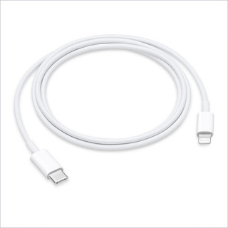 Apple 苹果 次日达苹果数据线原装快充 PD2头充电线USB-C/Type-C转Lightning USB-C 转闪电连接线(1米)